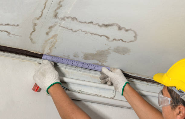 Reliable Flood Cleanup contractor in Rainier, WA by Water Damage Irwin